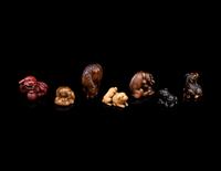Seven Japanese Carved Wood Animal-Form Netsuke