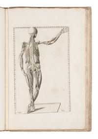[SCIENCE & MEDICINE]. EUSTACHI, Bartolomeo (d. 1574). Tabulae Anatomicae Clarissimi viri Bartholomaei Eustachii . Rome: Laurentii & Thoma Pagliarini, 1728