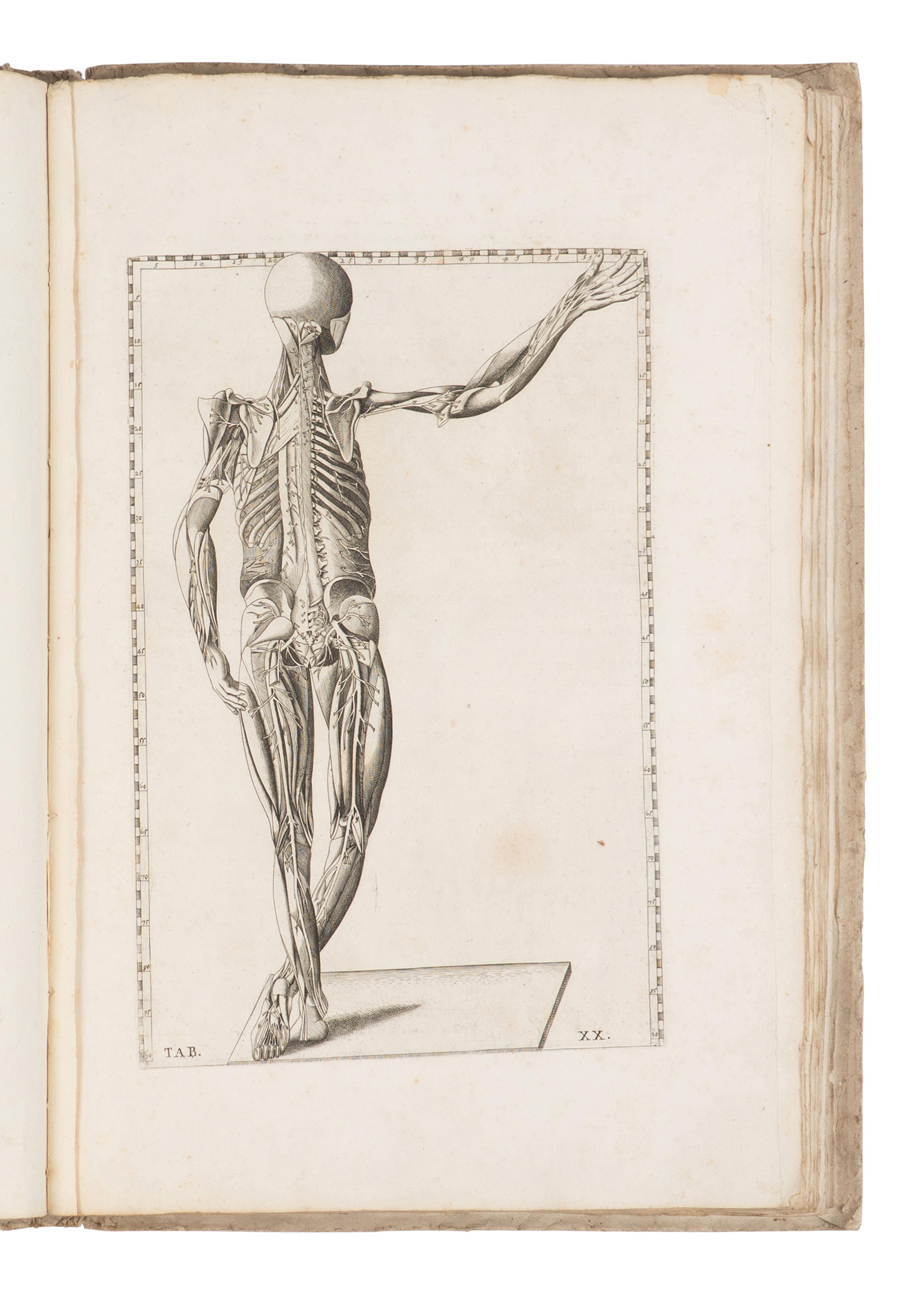 [SCIENCE & MEDICINE]. EUSTACHI, Bartolomeo (d. 1574). Tabulae Anatomicae Clarissimi viri Bartholomaei Eustachii . Rome: Laurentii & Thoma Pagliarini, 1728