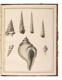 [MARITIME SHELLS & FOSSILS MANUSCRIPT]. Malet, S. "Hampshire Fossils." -- "French Fossils." [London, ca 19th century].