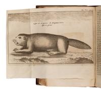 Lahontan, Louis Armand-Lon D'arce (1666-1716). Nouveaux Voyages de Mr Le Baron de Lahontan dans L'Amerique Septentrionale [and:] Memoires de l'Amerique septentrionale, ou la suite des voyages . The Hague: chez les Frères l'Honoré, 1703.