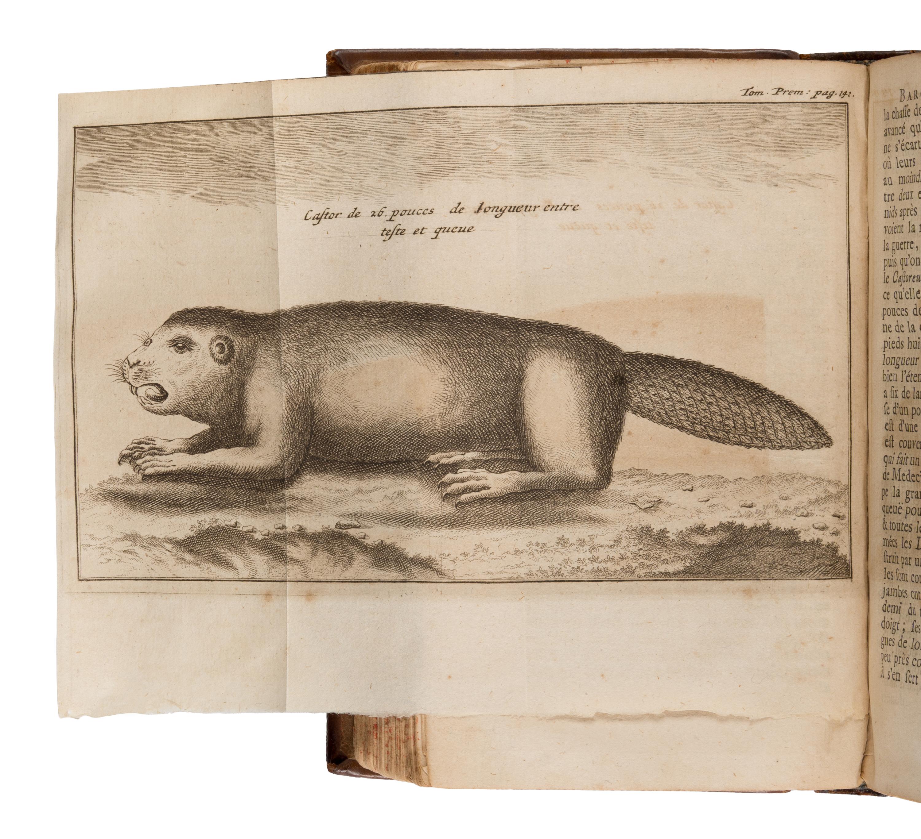 Lahontan, Louis Armand-Lon D'arce (1666-1716). Nouveaux Voyages de Mr Le Baron de Lahontan dans L'Amerique Septentrionale [and:] Memoires de l'Amerique septentrionale, ou la suite des voyages . The Hague: chez les Frères l'Honoré, 1703.
