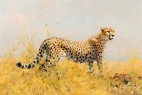 A Cheetah with Kill