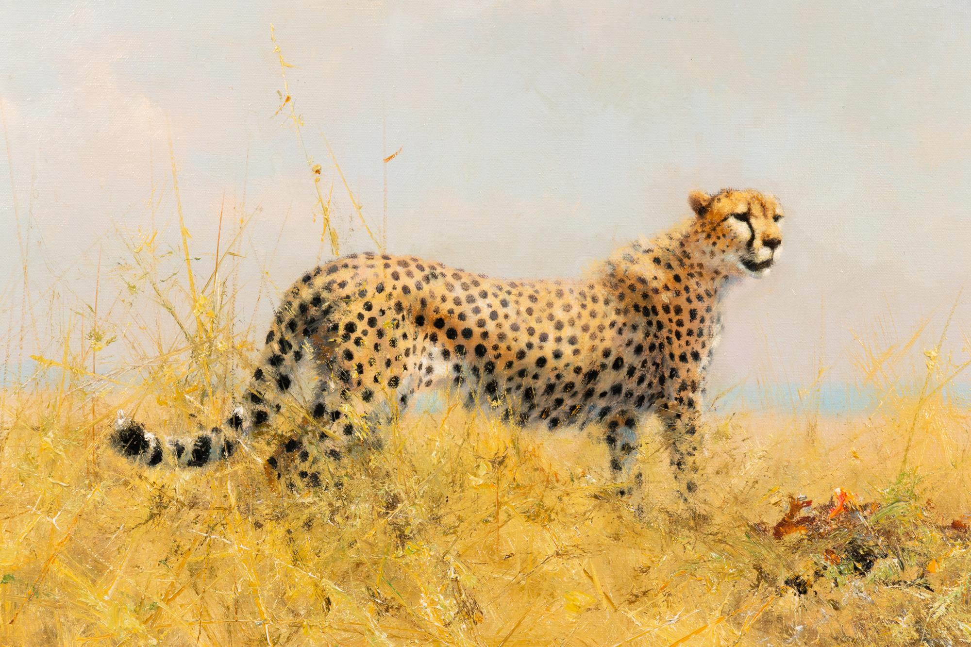 A Cheetah with Kill