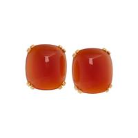 SEAMAN SCHEPPS, YELLOW GOLD AND CARNELIAN EARCLIPS