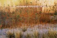 Glen Canyon (complete portfolio of ten photographs with original cloth case)