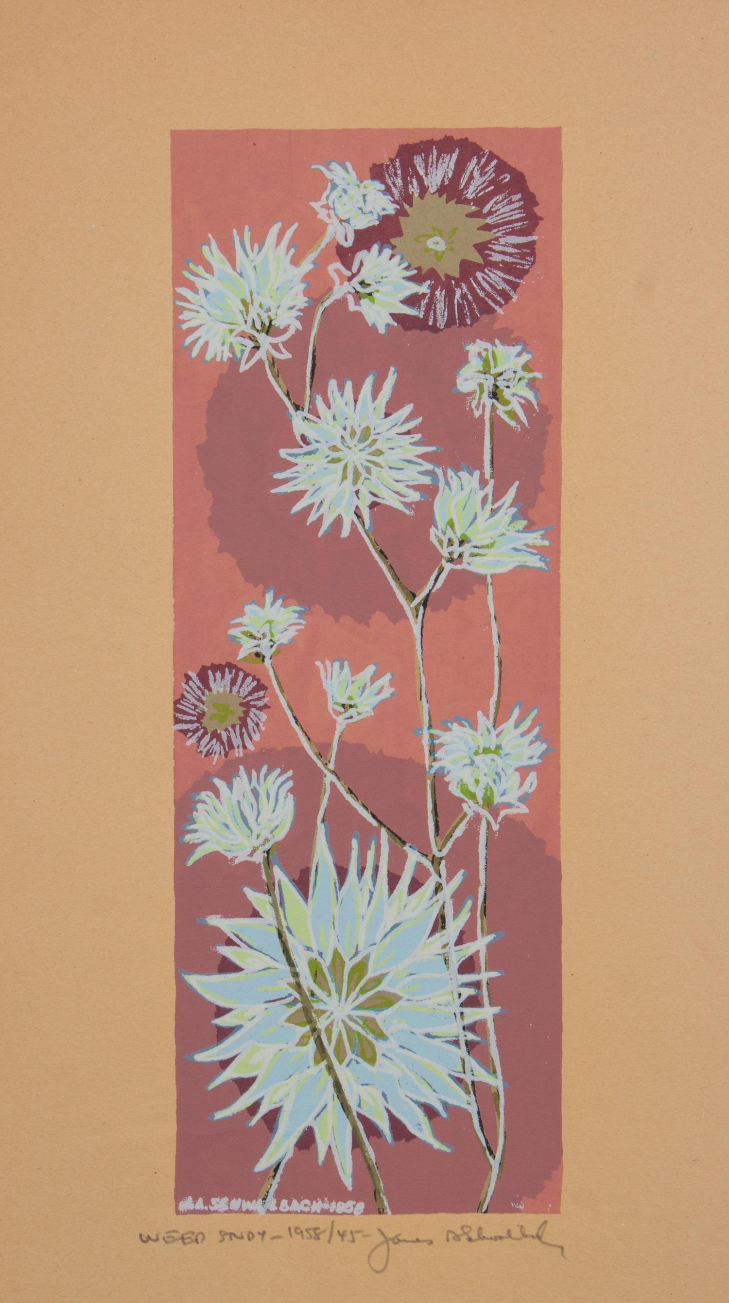 James Schwalbach, (Wisconsin, b. 1912), Weed Study, 1958 (a suite of twelve works)