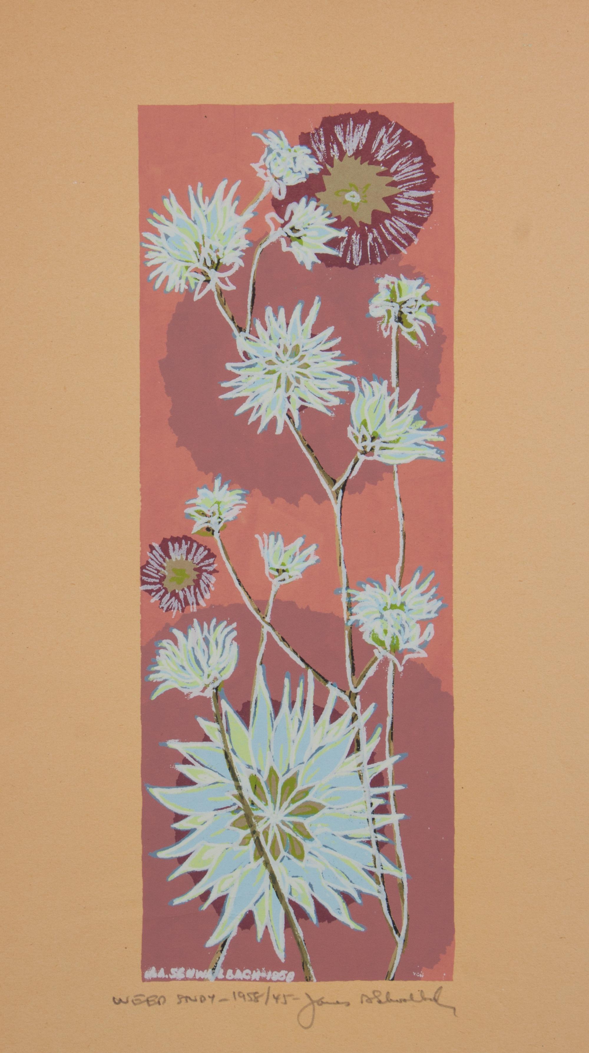 James Schwalbach, (Wisconsin, b. 1912), Weed Study, 1958 (a suite of twelve works)