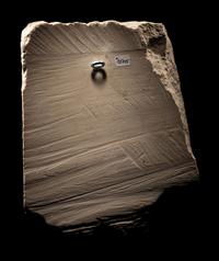 An Egyptian Limestone Fragment