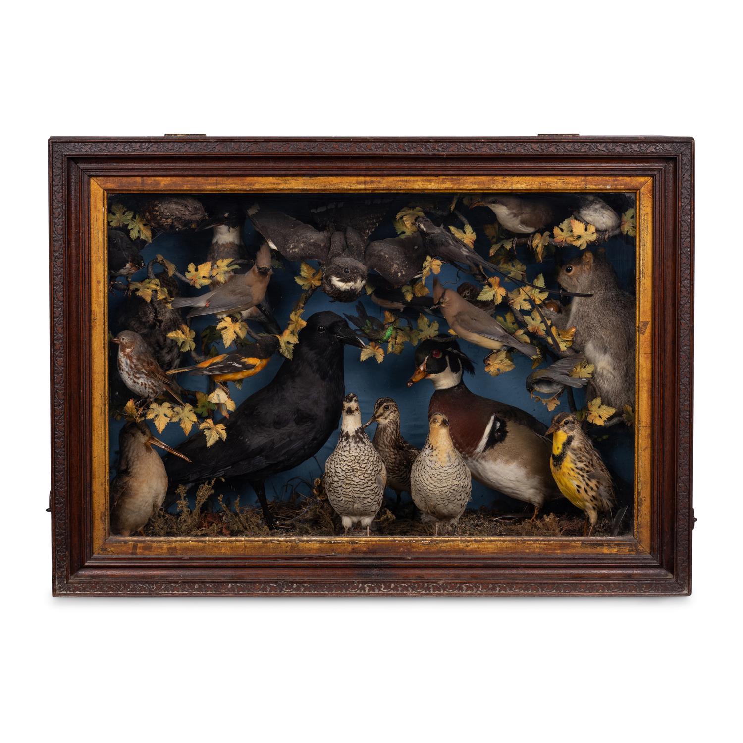 A Victorian Taxidermy Diorama