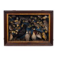 A Victorian Taxidermy Diorama