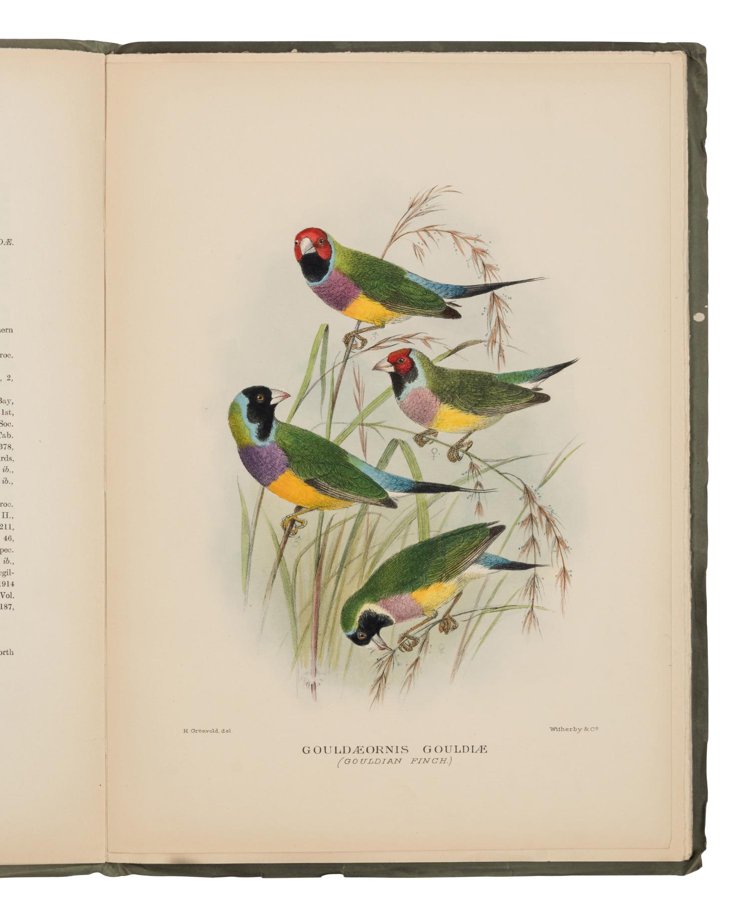 [NATURAL HISTORY]. MATHEWS, Gregory Macalister (1870-1949). The Birds of Australia . London: Witherby, 1915-1925.