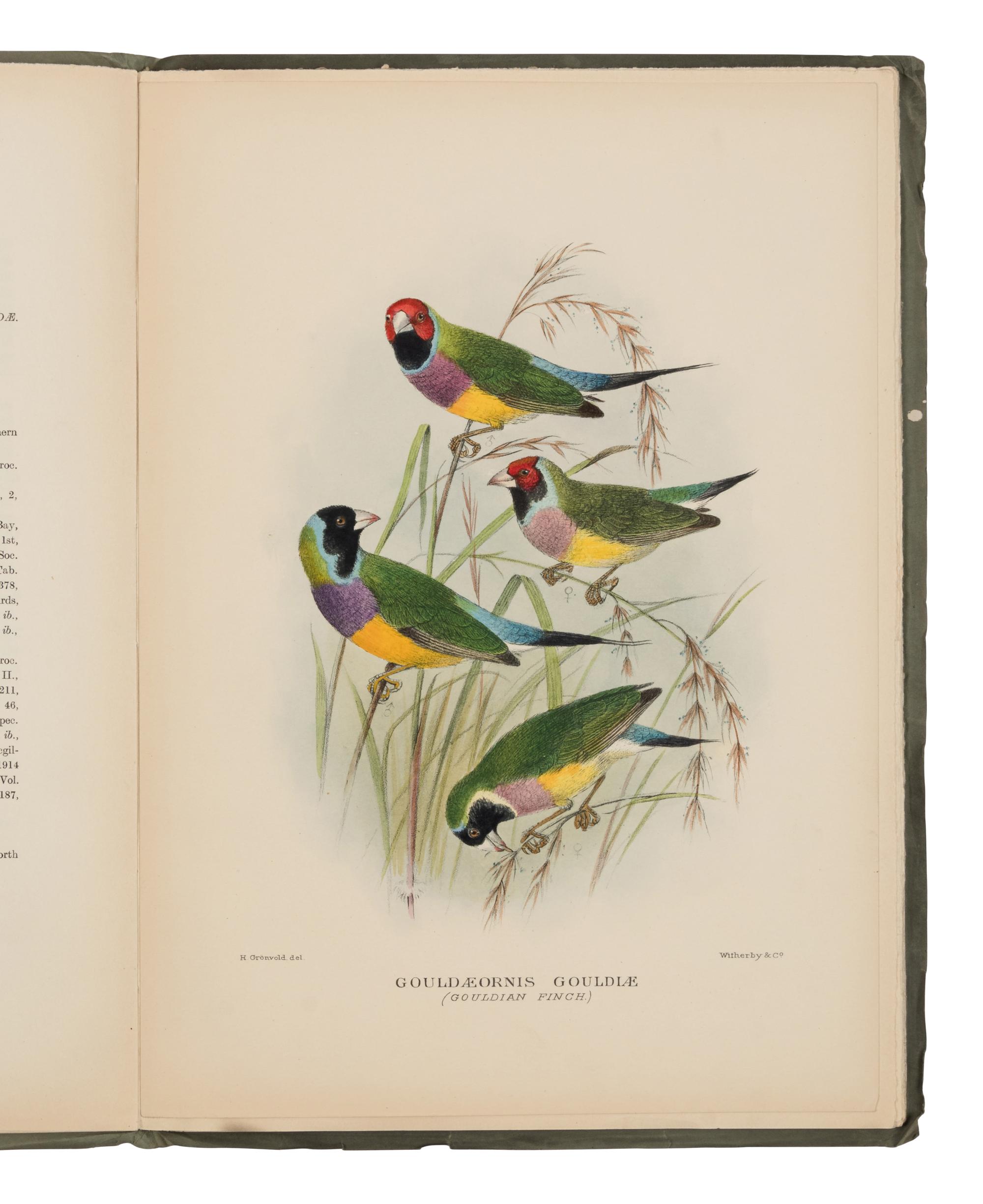 [NATURAL HISTORY]. MATHEWS, Gregory Macalister (1870-1949). The Birds of Australia . London: Witherby, 1915-1925.