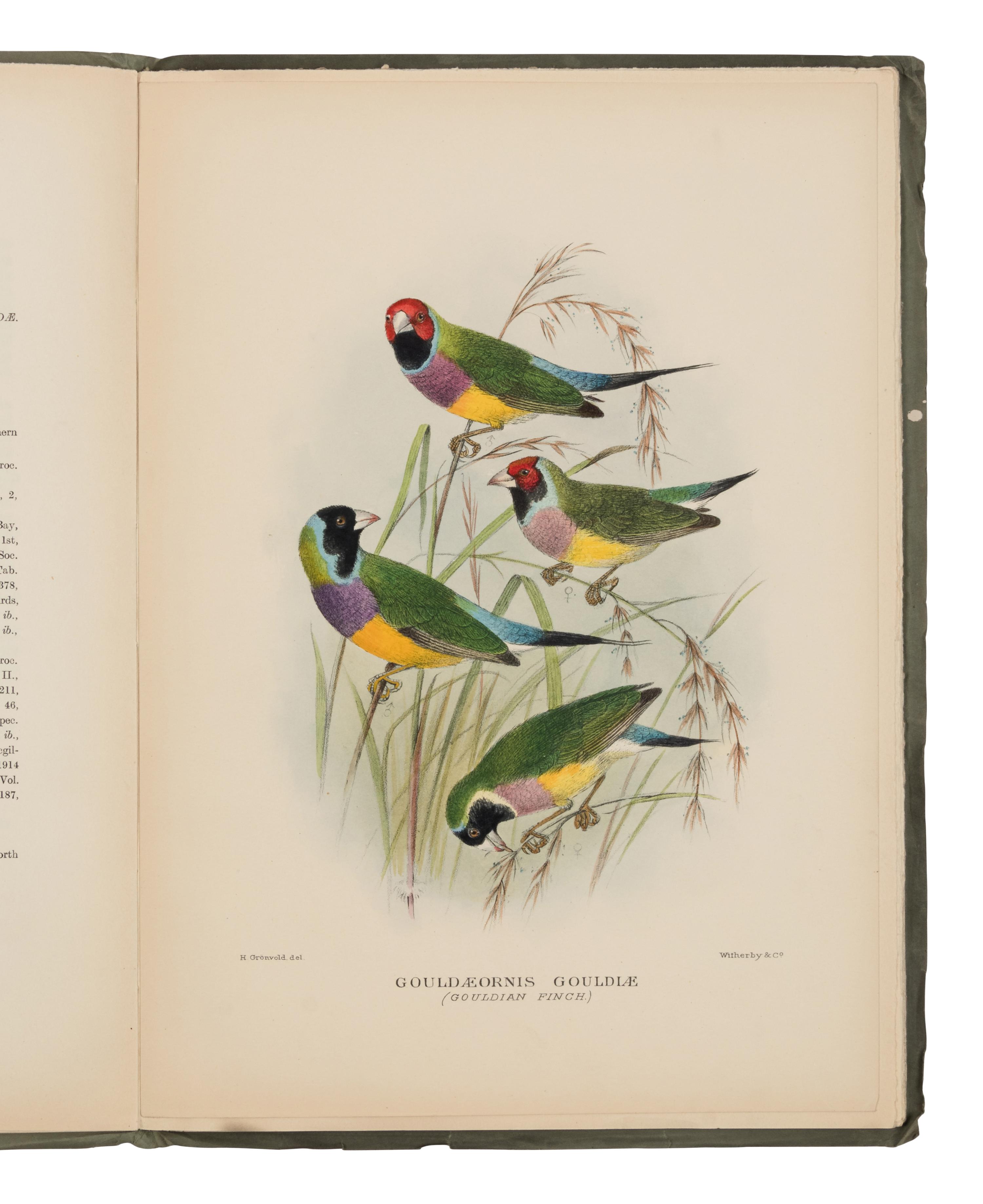 [NATURAL HISTORY]. MATHEWS, Gregory Macalister (1870-1949). The Birds of Australia . London: Witherby, 1915-1925.