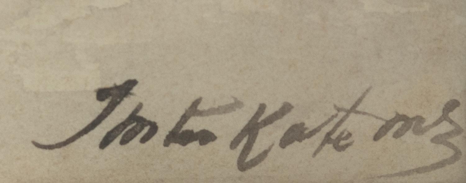 Mari Henri Ten Kate