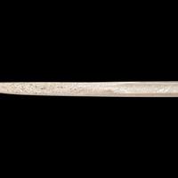 Exceptional Etched Blade Ames US Model 1850 Foot Officer Sword Presented to Colonel (General) Horace Lee & CDV - Published in Thillmann's Civil War Army Swords