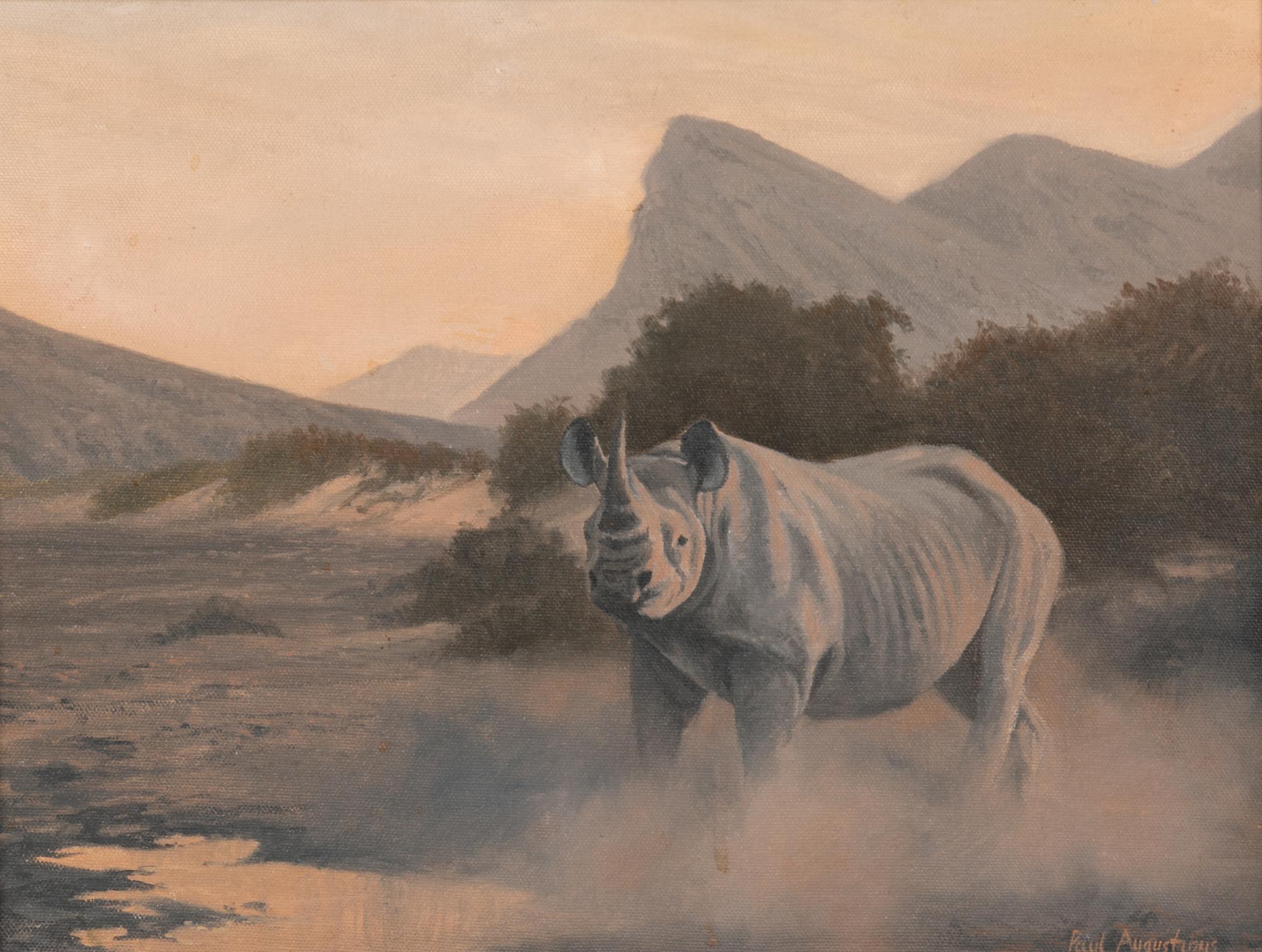 The Hoanib Rhino, Namibia
