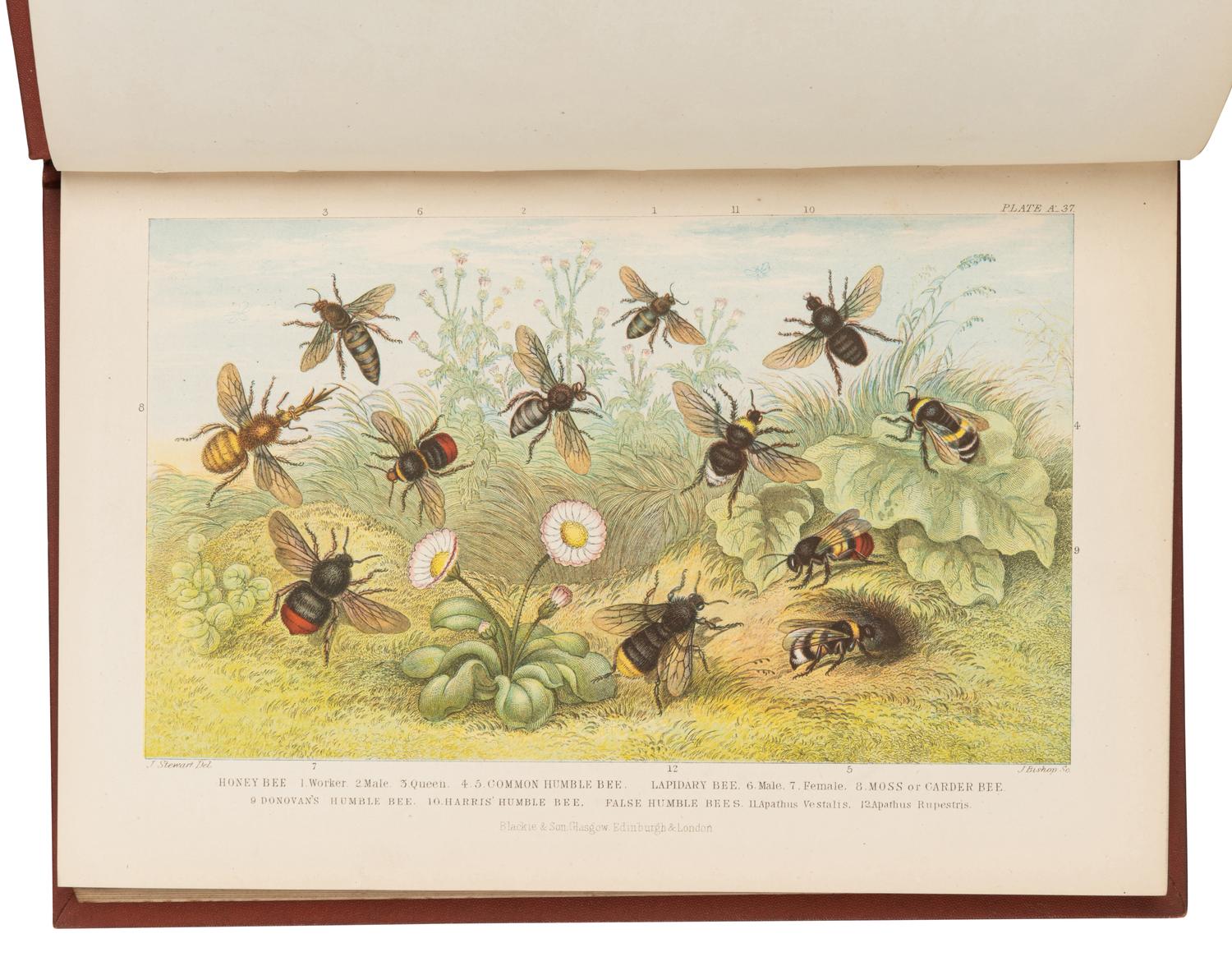 [GEOGRAPHY]. A group of 3 works, comprising: