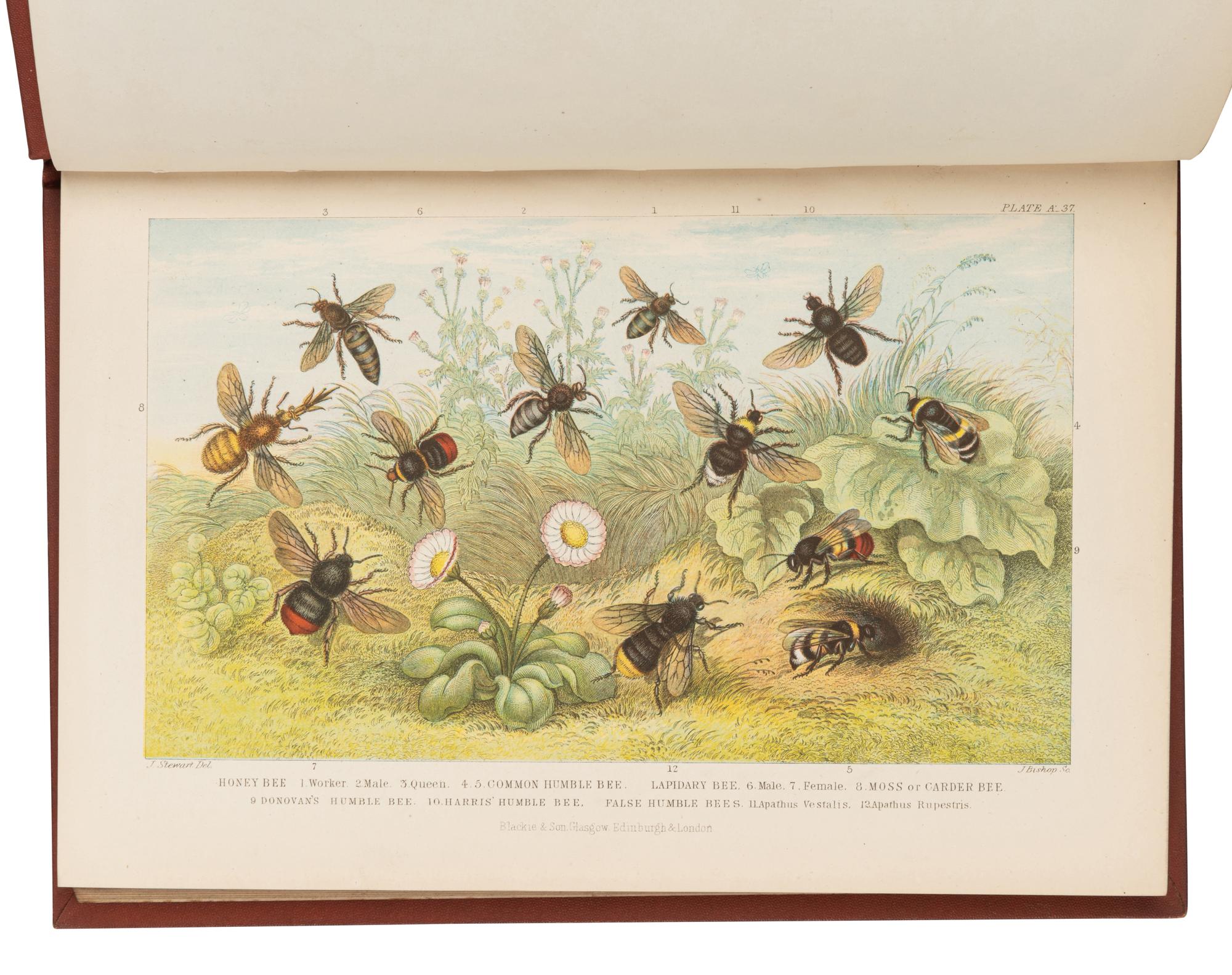 [GEOGRAPHY]. A group of 3 works, comprising: