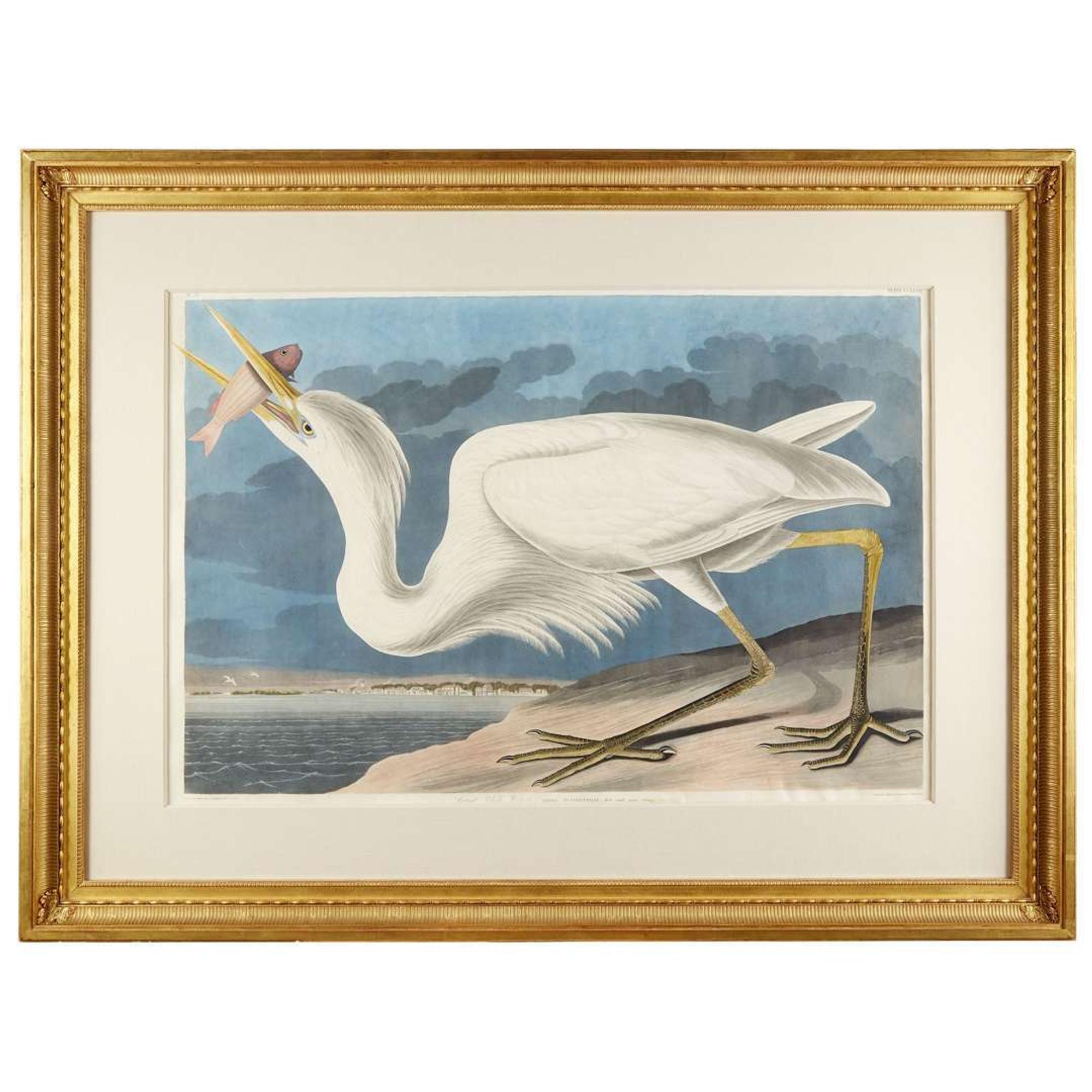 JOHN JAMES AUDUBON (AMERICAN 1785–1851) "GREAT WHITE HERON" (KEY WEST) FROM BIRDS OF AMERICA