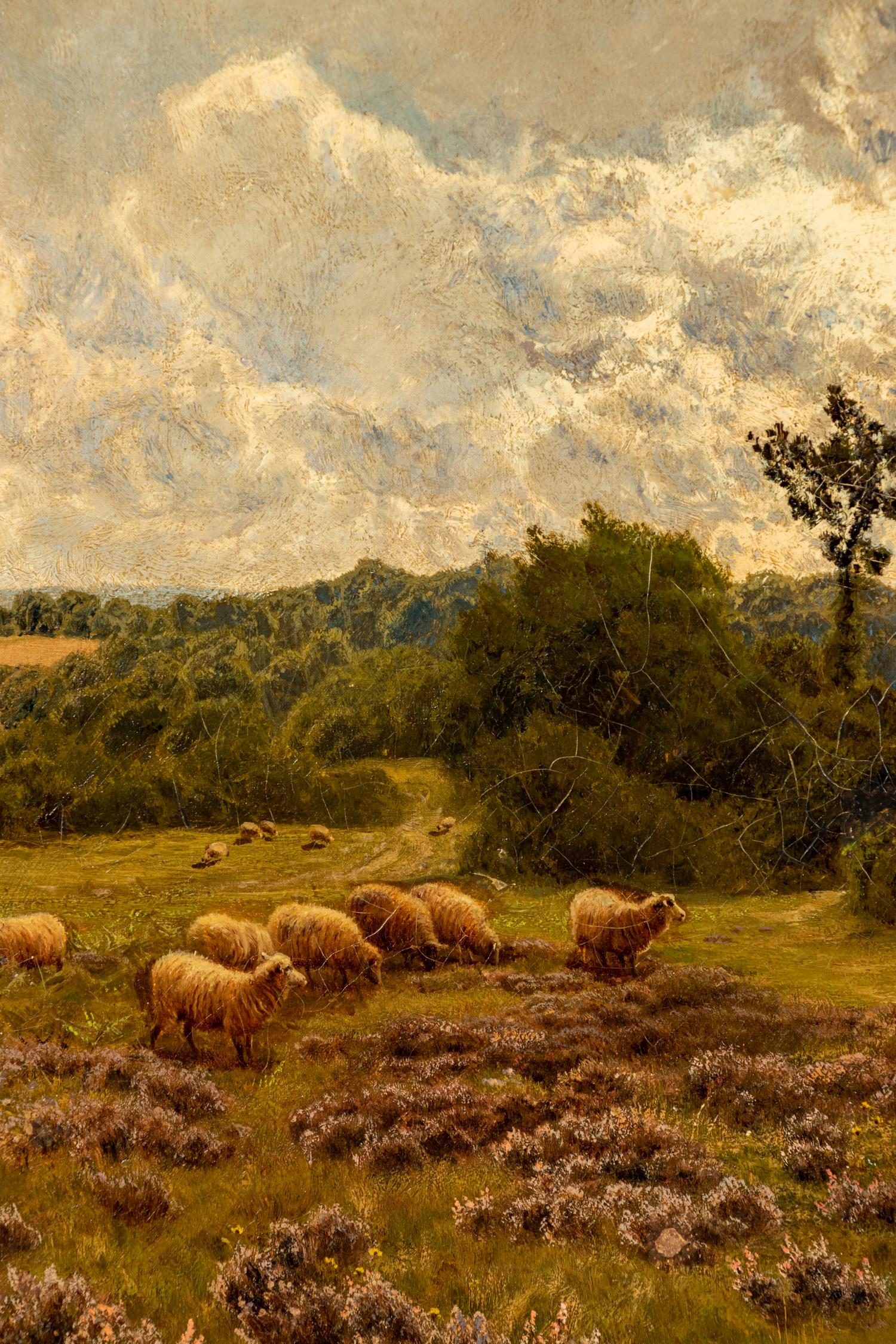 Watching the Flock