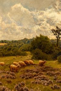 Watching the Flock