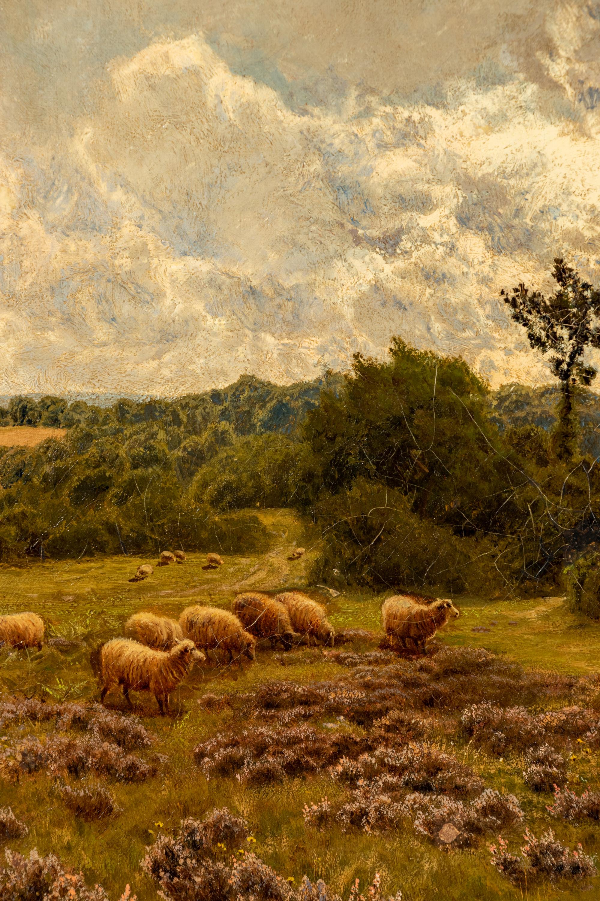 Watching the Flock