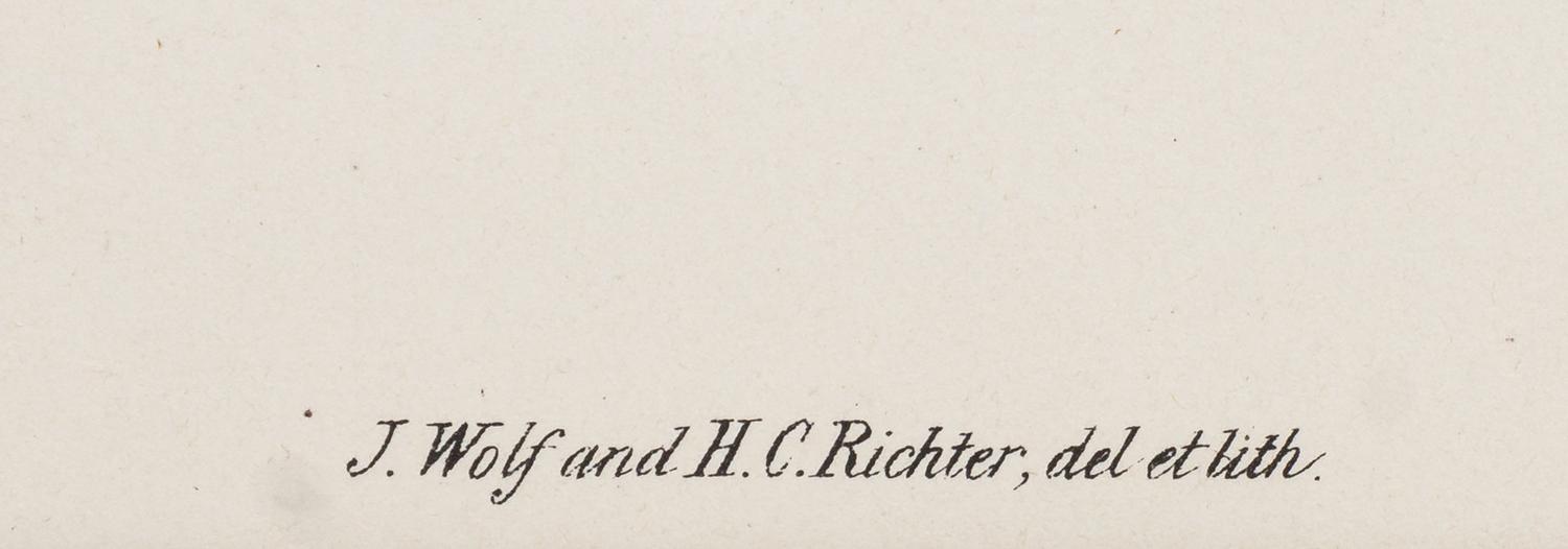 GOULD, John (1804-1881), after [Rough-legged Buzzard] Archibuteo Lagopus