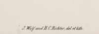 GOULD, John (1804-1881), after [Rough-legged Buzzard] Archibuteo Lagopus