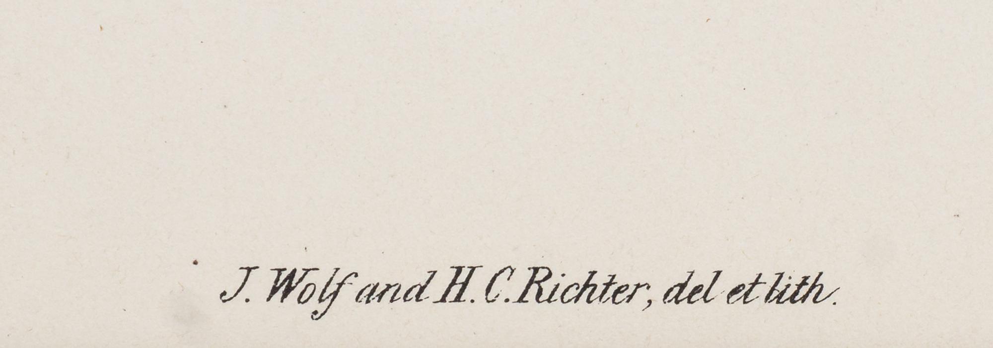 GOULD, John (1804-1881), after [Rough-legged Buzzard] Archibuteo Lagopus