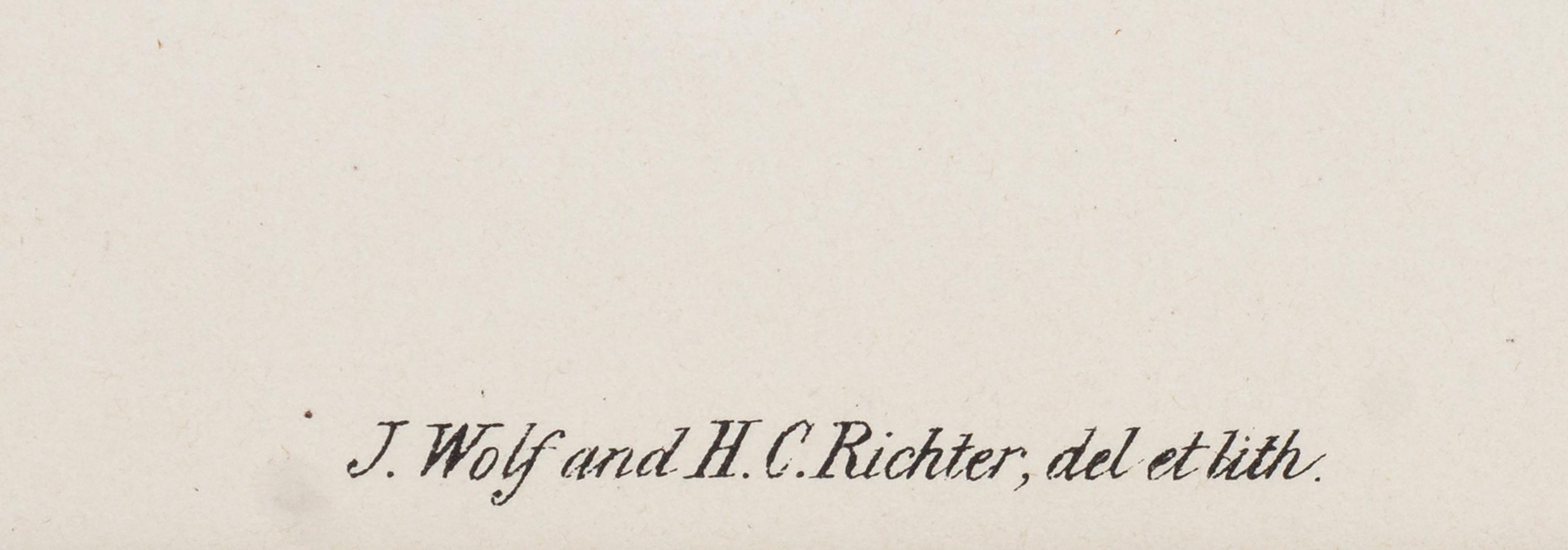 GOULD, John (1804-1881), after [Rough-legged Buzzard] Archibuteo Lagopus