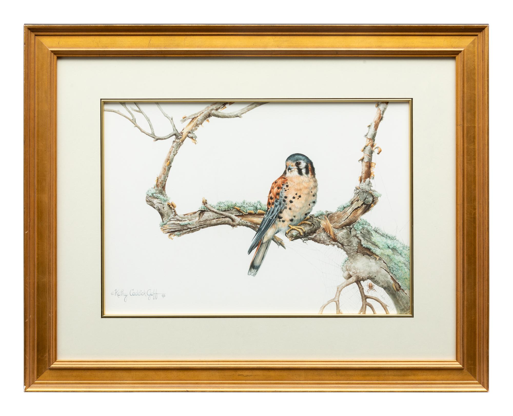 Kestrel , 1993