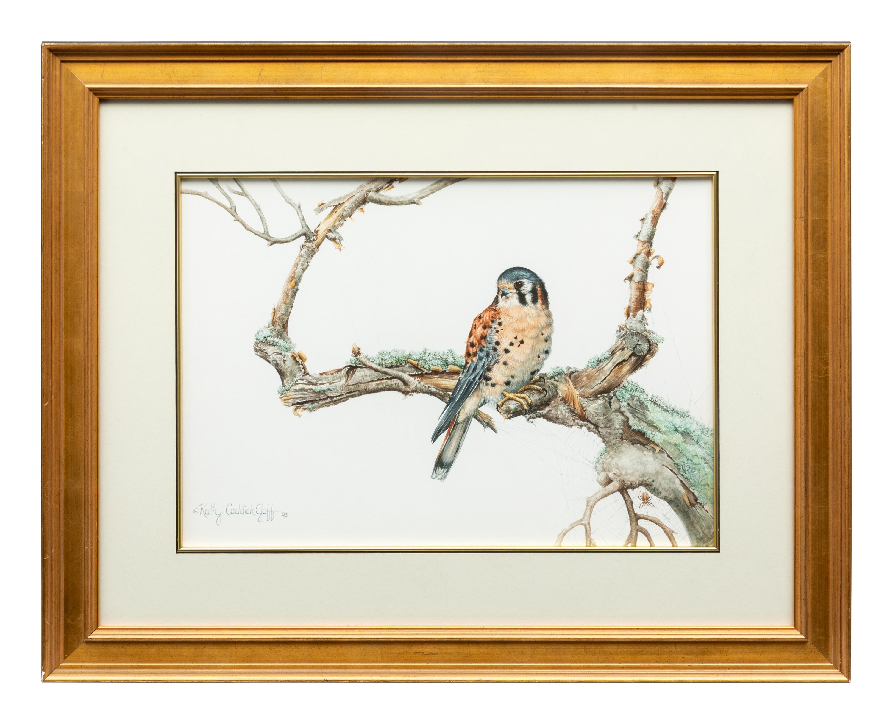 Kestrel , 1993