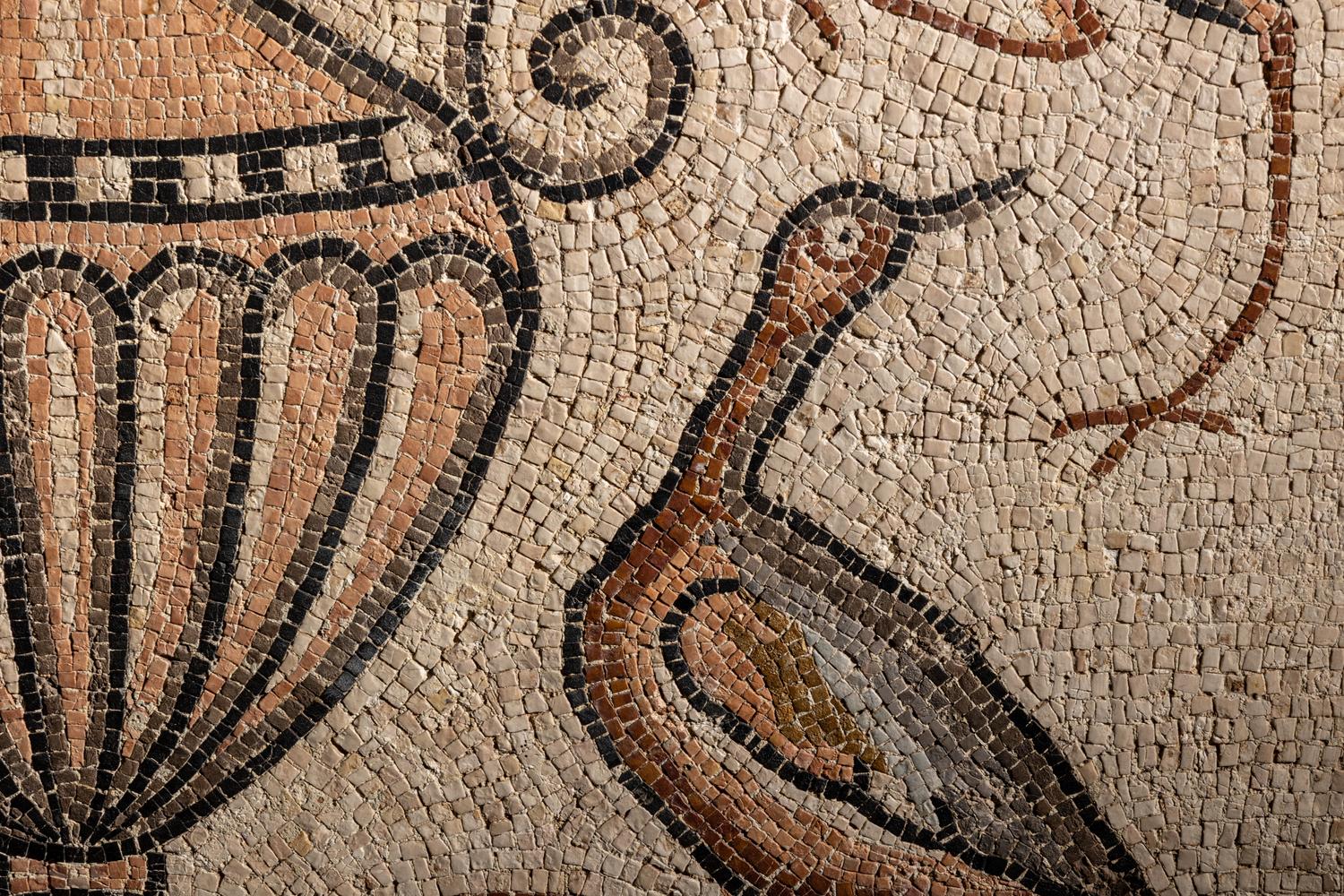 A Roman Polychrome Mosaic