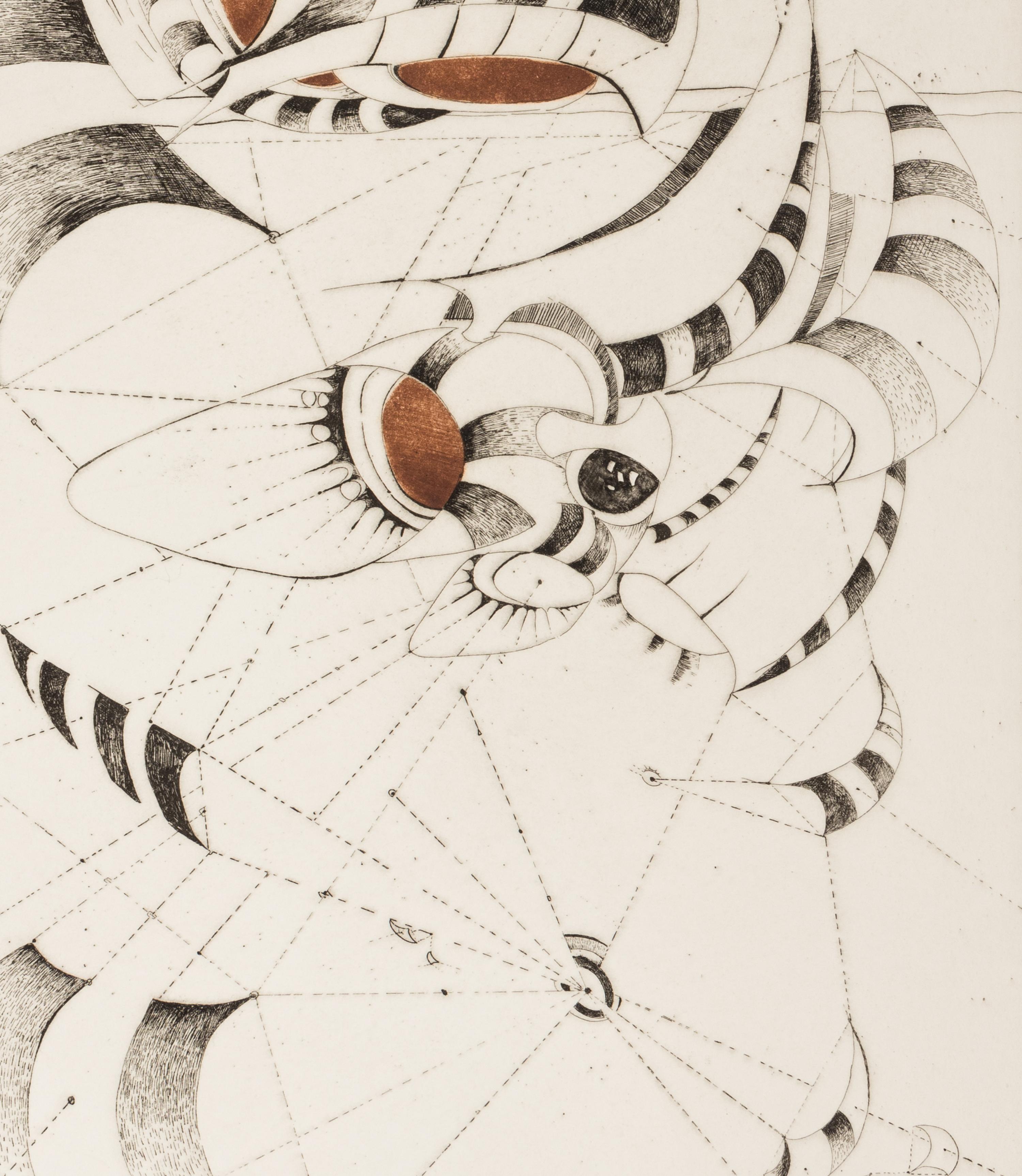 Untitled (from National Collection of Fine Arts Portfolio)