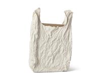 Bag With Canvas #1 , 2011