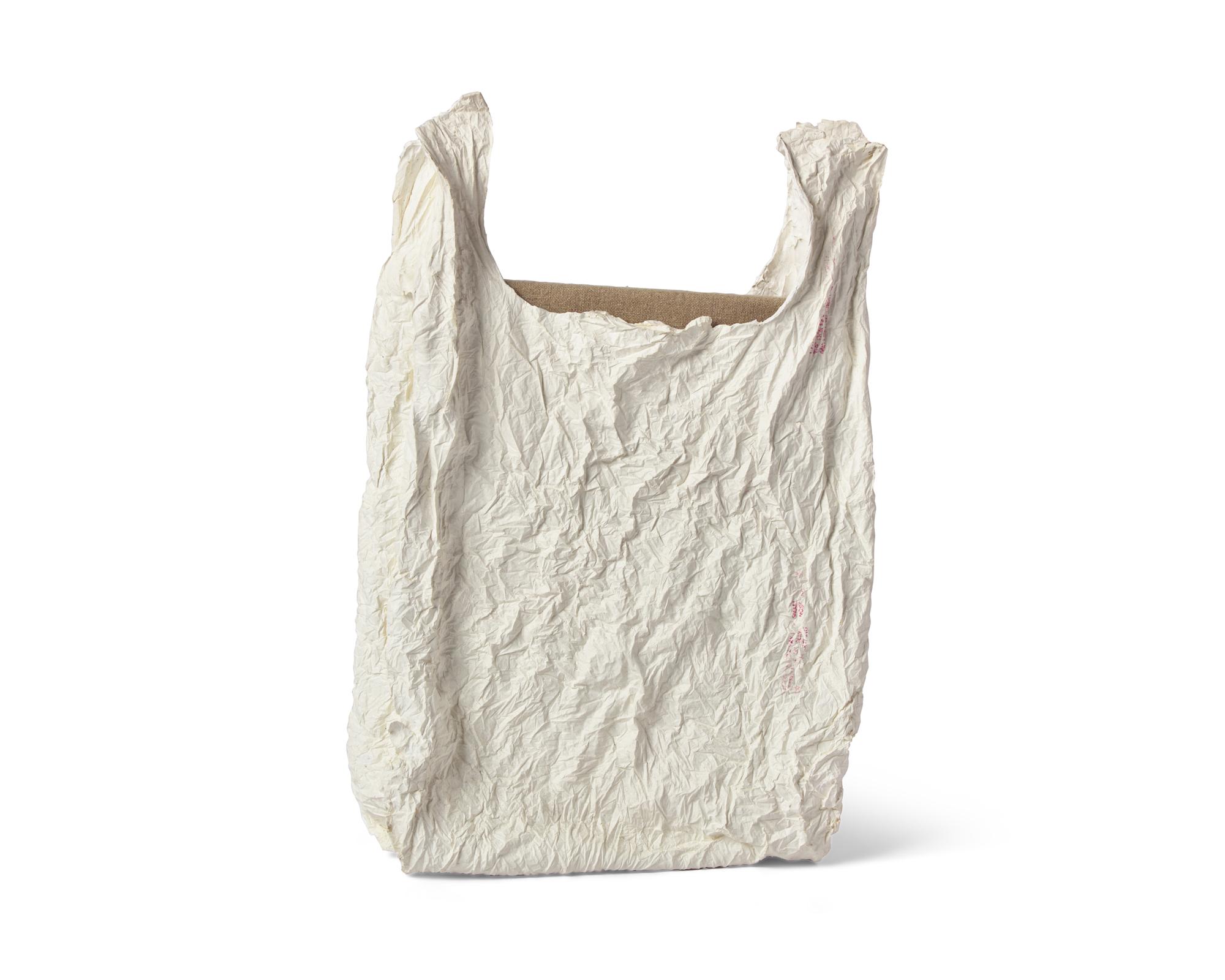 Bag With Canvas #1 , 2011