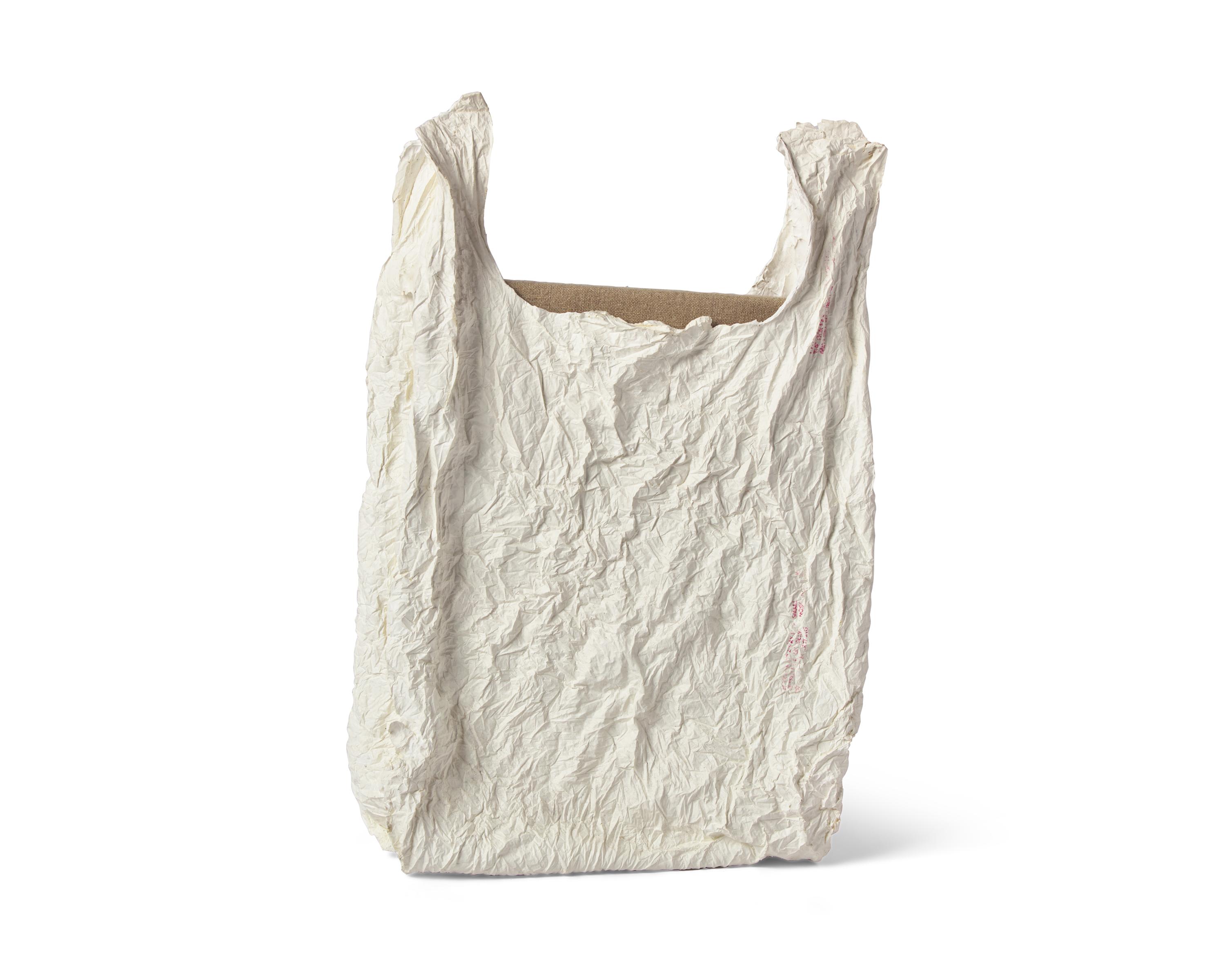 Bag With Canvas #1 , 2011