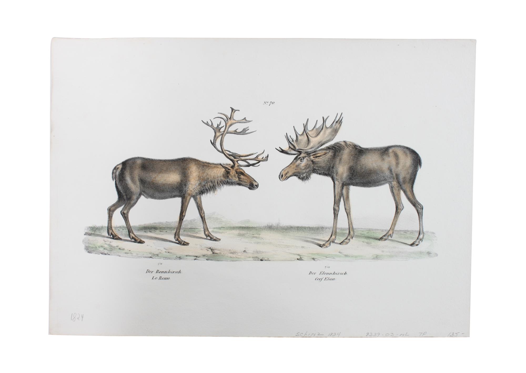 Five Hand Colored Game Prints 11 1/2 x 15 1/2 inches (largest) — 19TH CENTURY