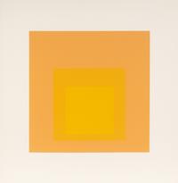 Homage to the Square (a group of nine from the portfolio of ten)