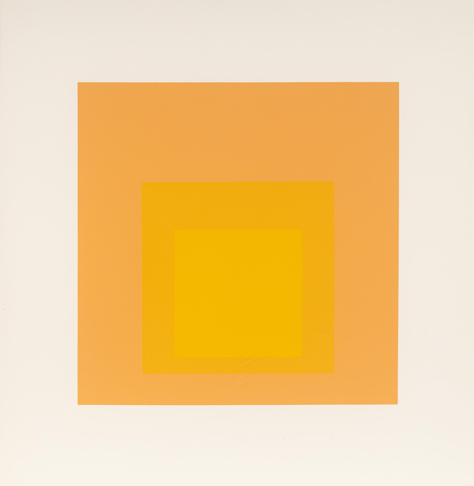 Homage to the Square (a group of nine from the portfolio of ten)