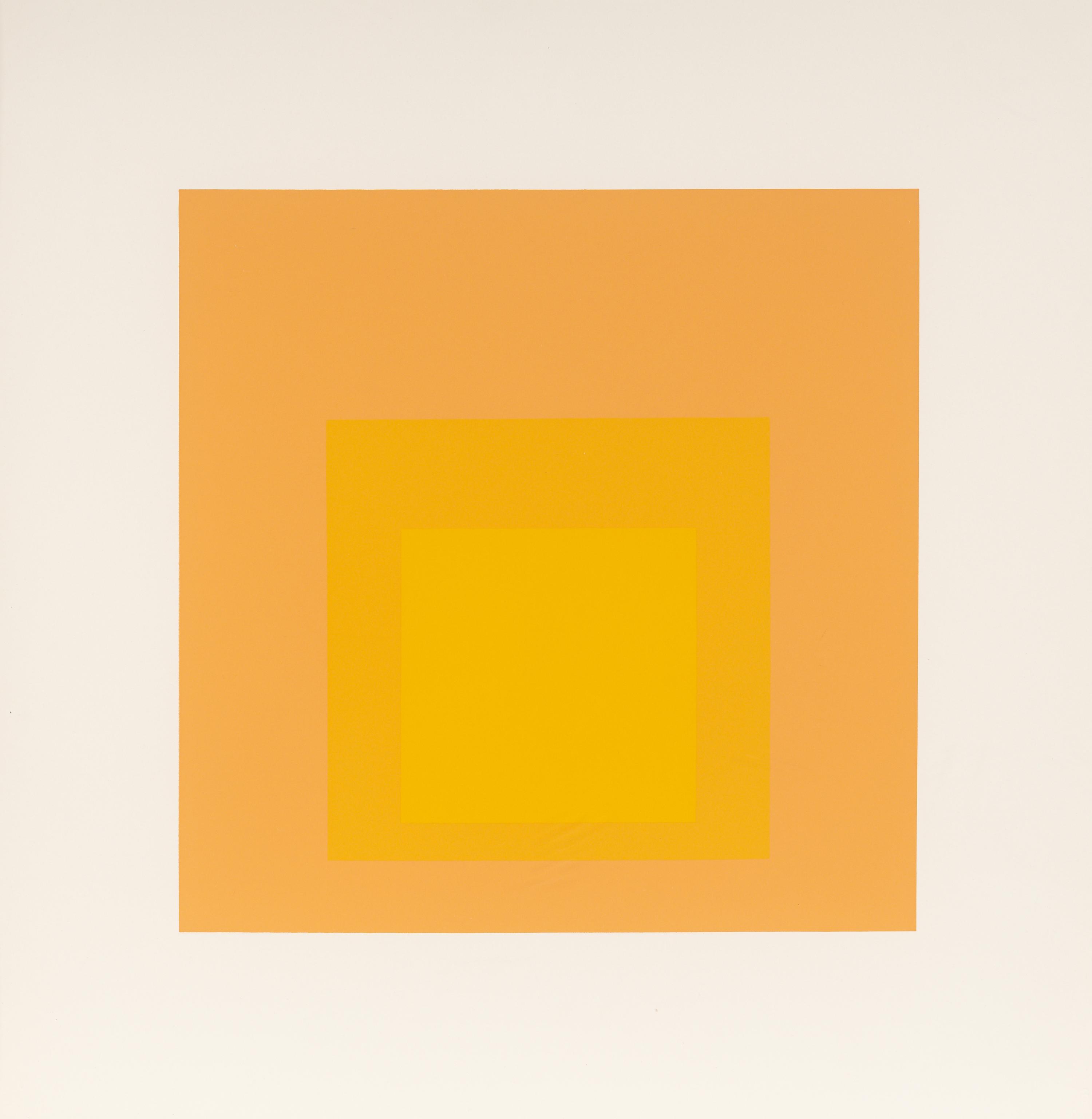 Homage to the Square (a group of nine from the portfolio of ten)