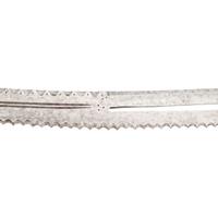 An Indo-Persian Zulfiqar Talwar