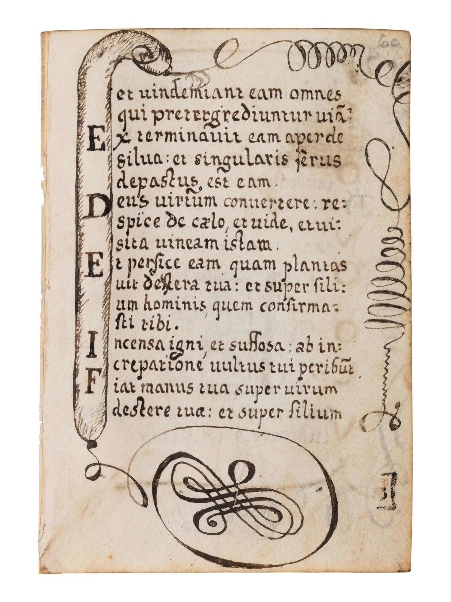 A collection of leaves from Psalter manuscripts, illuminated in Flanders in the first half of the thirteenth century, joined with a group of seventeenth- or eighteenth-century Psalter leaves drawn according to similar models