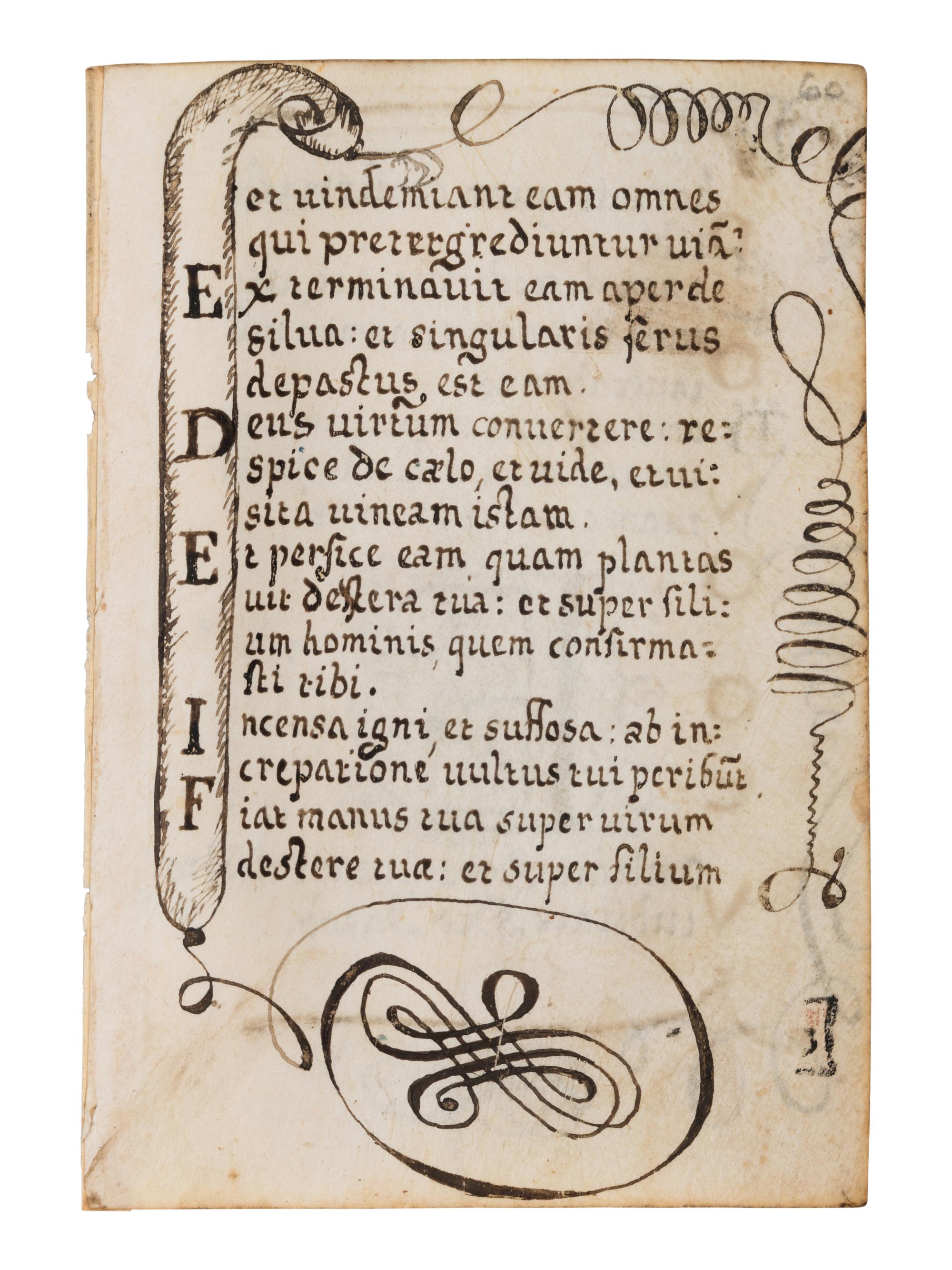 A collection of leaves from Psalter manuscripts, illuminated in Flanders in the first half of the thirteenth century, joined with a group of seventeenth- or eighteenth-century Psalter leaves drawn according to similar models