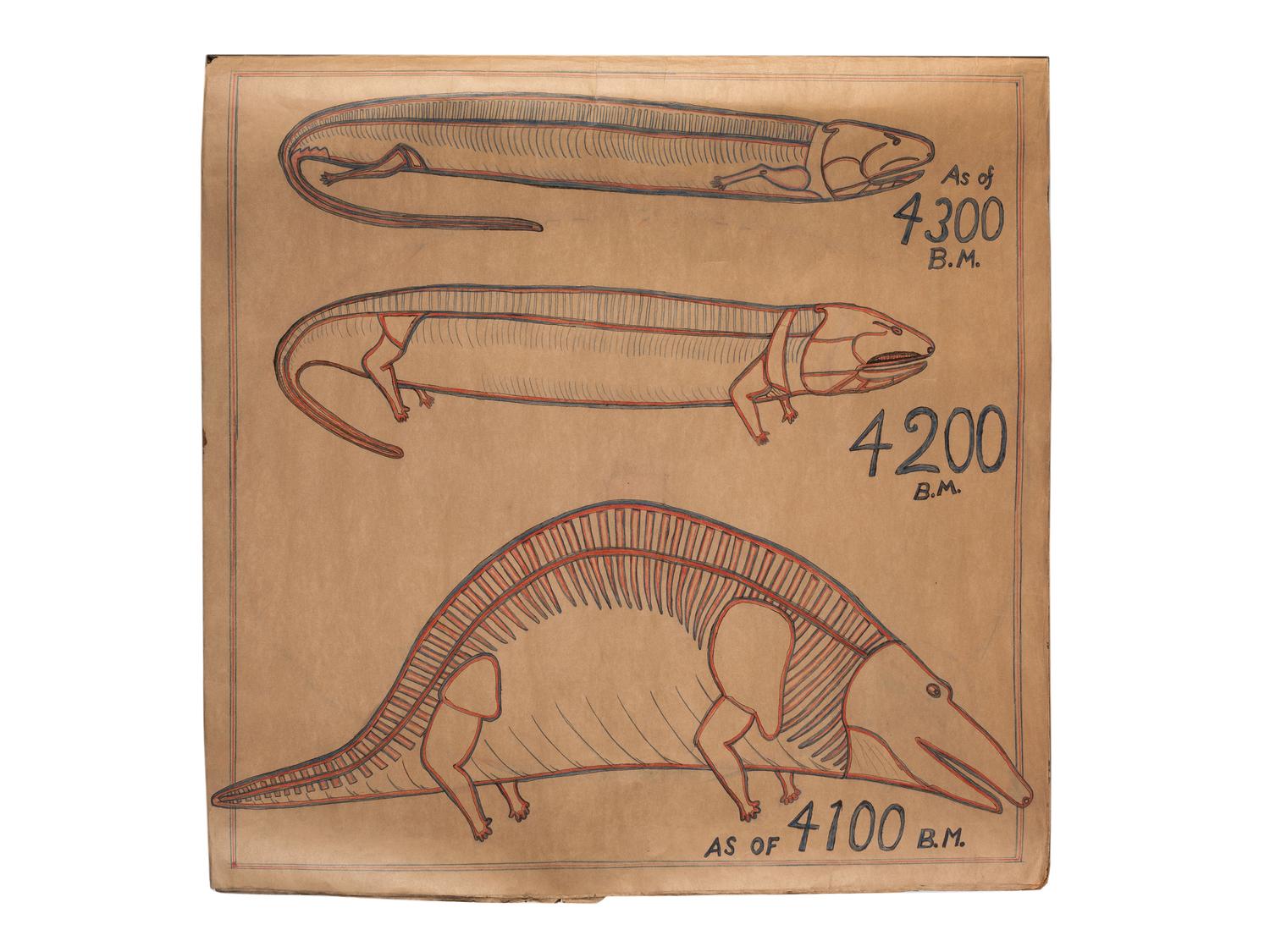 A Bound Set of Folk Art Scientific Drawings