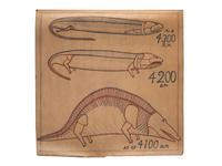 A Bound Set of Folk Art Scientific Drawings