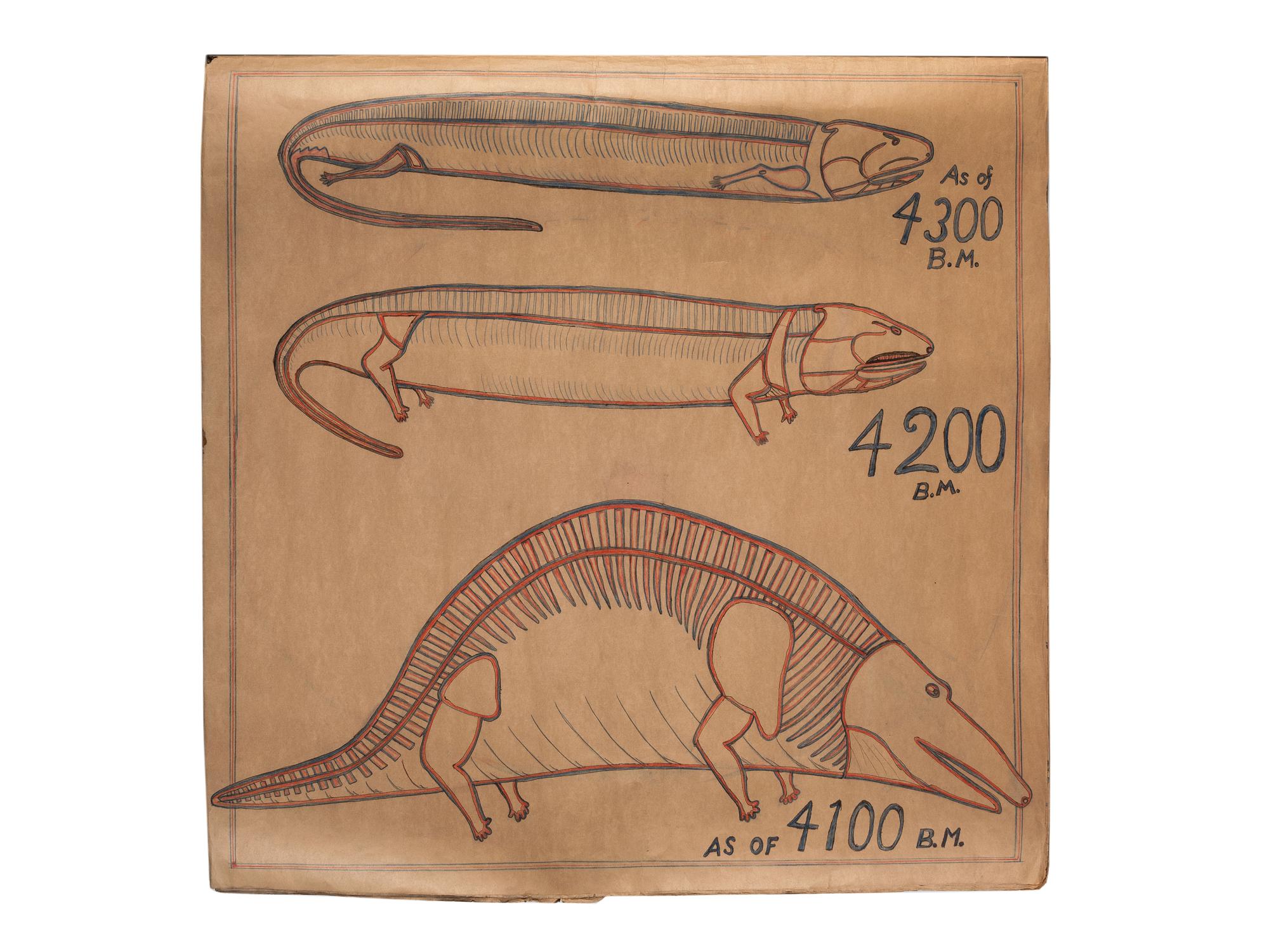 A Bound Set of Folk Art Scientific Drawings