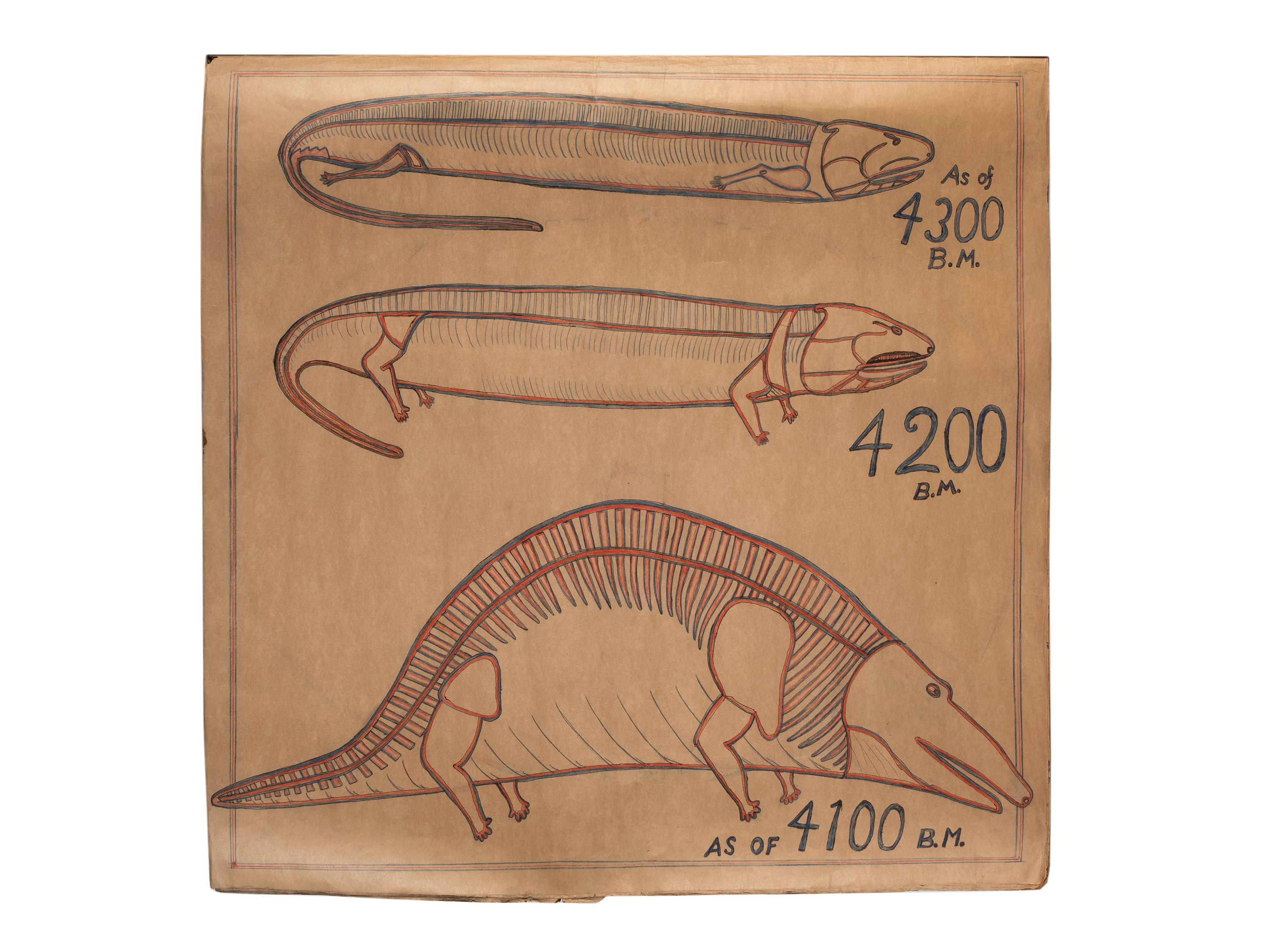 A Bound Set of Folk Art Scientific Drawings