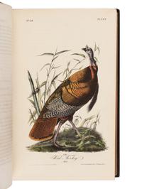 Audubon, John James. The Birds of America, from Drawings Made in the United States and their Territories